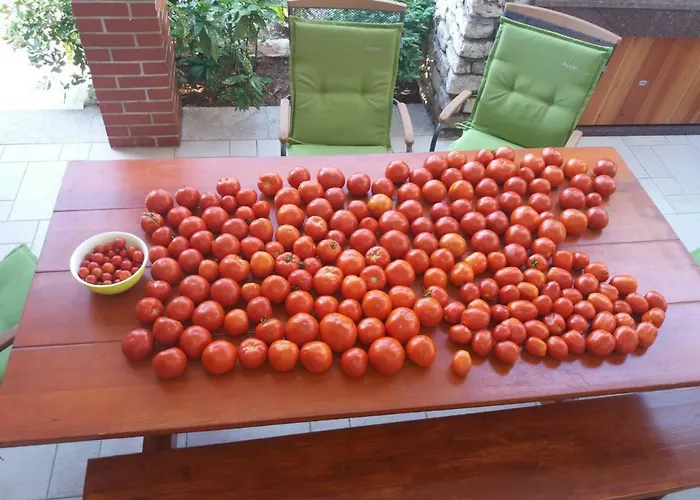 Kuca Za Odmor Pecilovo