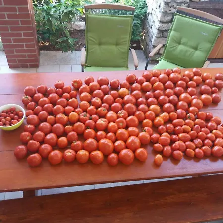 Kuca Za Odmor Pecilovo