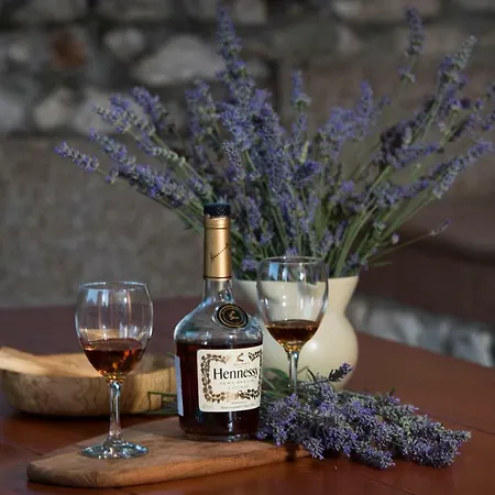 Kuca Za Odmor Pecilovo * Vinišće